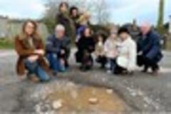 birds 'bathing' in kingskerswell potholes