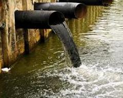 China coastal waters increasingly polluted: govt